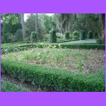 Rosedown Plantation Garden 11.jpg